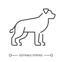 Hund linear Symbol. süß inländisch Tier. reinrassig Hund. treu Begleiter Hund. Veterinär Bedienung Symbol. dünn Linie Illustration. Kontur Symbol. Gliederung Zeichnung. editierbar Schlaganfall vektor