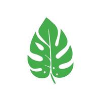 Grün Blatt Symbol. Blätter Symbol auf isoliert Hintergrund. Sammlung Grün Blatt. Elemente Design zum natürlich, Öko, vegan, bio Etiketten vektor