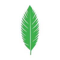grön blad. löv ikon på isolerat bakgrund. samling grön blad. element design för naturlig, eko, vegan, bio etiketter vektor