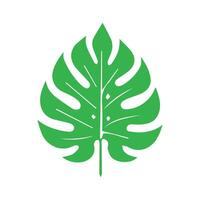 Grün Blatt Symbol. Blätter Symbol auf isoliert Hintergrund. Sammlung Grün Blatt. Elemente Design zum natürlich, Öko, vegan, bio Etiketten vektor