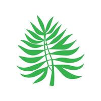 Grün Blatt Symbol. Blätter Symbol auf isoliert Hintergrund. Sammlung Grün Blatt. Elemente Design zum natürlich, Öko, vegan, bio Etiketten vektor