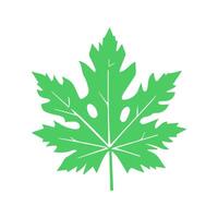 grön blad. löv ikon på isolerat bakgrund. samling grön blad. element design för naturlig, eko, vegan, bio etiketter vektor