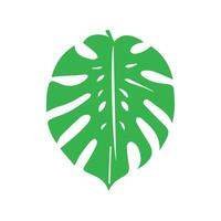 Grün Blatt Symbol. Blätter Symbol auf isoliert Hintergrund. Sammlung Grün Blatt. Elemente Design zum natürlich, Öko, vegan, bio Etiketten vektor