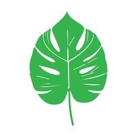 Grün Blatt Symbol. Blätter Symbol auf isoliert Hintergrund. Sammlung Grün Blatt. Elemente Design zum natürlich, Öko, vegan, bio Etiketten vektor