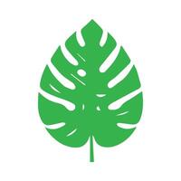 Grün Blatt Symbol. Blätter Symbol auf isoliert Hintergrund. Sammlung Grün Blatt. Elemente Design zum natürlich, Öko, vegan, bio Etiketten vektor