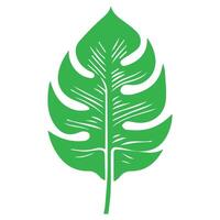 Grün Blatt Symbol. Blätter Symbol auf isoliert Hintergrund. Sammlung Grün Blatt. Elemente Design zum natürlich, Öko, vegan, bio Etiketten vektor