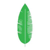 Grün Blatt Symbol. Blätter Symbol auf isoliert Hintergrund. Sammlung Grün Blatt. Elemente Design zum natürlich, Öko, vegan, bio Etiketten vektor