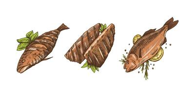 ritad för hand färgad skiss av utegrill fisk. klotter årgång illustration. dekorationer för de meny av kaféer och etiketter. graverat bild. vektor