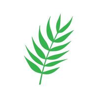 grön blad ikon. löv ikon på isolerat bakgrund. samling grön blad. element design för naturlig, eko, vegan, bio etiketter vektor
