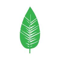 Grün Blatt Symbol. Blätter Symbol auf isoliert Hintergrund. Sammlung Grün Blatt. Elemente Design zum natürlich, Öko, vegan, bio Etiketten vektor