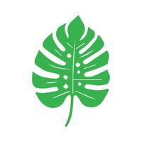 Grün Blatt Symbol. Blätter Symbol auf isoliert Hintergrund. Sammlung Grün Blatt. Elemente Design zum natürlich, Öko, vegan, bio Etiketten vektor