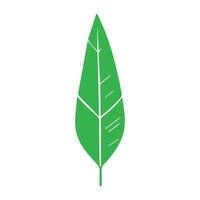 Grün Blatt Symbol. Blätter Symbol auf isoliert Hintergrund. Sammlung Grün Blatt. Elemente Design zum natürlich, Öko, vegan, bio Etiketten vektor