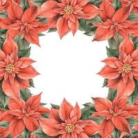 Weihnachtsstern, Weihnachten rot Blume und Grün Blätter. Aquarell botanisch Rahmen im Weihnachten Stil. Blumen- und Pflanze Trend. Zeichnung zum Weihnachten und Neu Jahr Feiertage, Einladungen, Karten, Banner. vektor