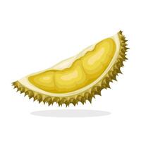 illustration, en bit av mogen Durian frukt, isolerat på en vit bakgrund. vektor