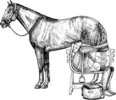 Grafik Illustration von Pferd, Sattel auf hölzern Stand. Stiefel, Tasche. Hand malen. Pferd Ausrüstung, zum Pferd Sport, Reiten vektor