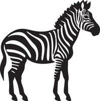Zebra Silhouette Illustration Weiß Hintergrund vektor