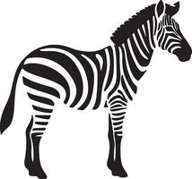 Zebra Silhouette Illustration Weiß Hintergrund vektor