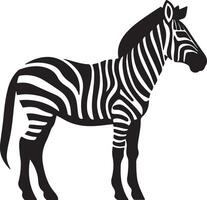 Zebra Silhouette Illustration Weiß Hintergrund vektor