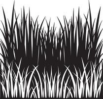 Illustration von ein Gras Silhouette schwarz und Weiß vektor