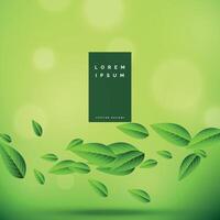 eco grön bakgrund med flytande löv vektor