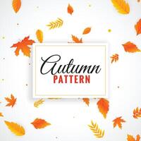 schön Herbst Blätter Muster Design vektor