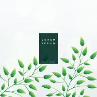 elegant Grün Blätter Hintergrund Design vektor