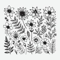 botanisch Eleganz ein Sammlung von Blumen- Umrisse vektor