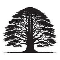 ein breit Redwood Baum Illustration im schwarz und Weiß vektor