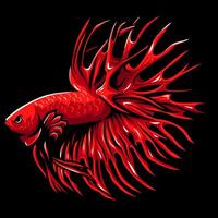 rot Krone Schwanz Betta Fisch Maskottchen. Esport Logo Design vektor