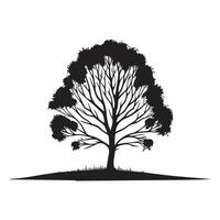 en skön björk träd illustration i svart och vit vektor