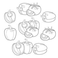 handgezeichnetes dekoratives Gemüse, Designelemente, schwarz-weißes Gemüse. Tomaten und Paprika. vektor