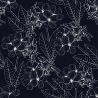 nahtlose Muster floral mit Frangipani-Blumen abstrakt background.vector Illustration handgezeichnete Linie art.for Stoff Mode Print Design oder Produktverpackung. vektor
