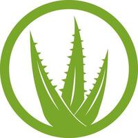 Aloe vera Symbol Logo Design Illustration vektor