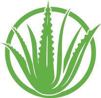Aloe vera Symbol Logo Design Illustration vektor