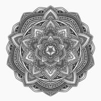 skön blommig mönster mandala konst isolerat på en svart bakgrund - eps 10 vektor