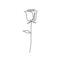 kontinuierlich einer Linie Rose Blume, Minimalismus. Illustration. vektor