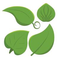 einstellen von isoliert Grün Blätter. botanisch Blatt Grün Pflanze vektor