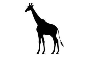 Giraffe Silhouette schwarz Clip Art isoliert auf ein Weiß Hintergrund vektor