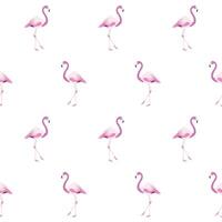 Flamingo Muster Hintergrund Design vektor