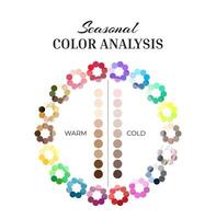 saisonal Farbe Analyse Rad Palette mit kalt und warm Farben und Haut Farbfelder vektor
