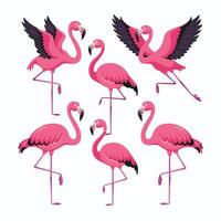 tecknad serie rosa flamingo på ett isolerat vit bakgrund. vektor