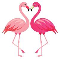 süß Rosa Flamingo auf Weiß Hintergrund Sommer- Liebe süß Flamingo Paar vektor