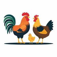 kycklingar uppsättning illustration i Färg. brun och vit höna och tupp. manlig och kvinna kycklingar vektor