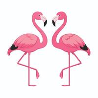 tecknad serie rosa flamingo på ett isolerat vit bakgrund. vektor