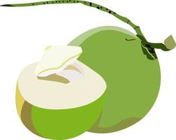 gesundheit und ernährungsvorteile von kokosnuss, kokosfruchtvektorillustrationen