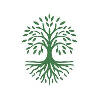 Wurzel Baum Logo. Wurzel von das Baum Logo Symbol Illustration Design, Eiche Baum Jahrgang Logo Design vektor