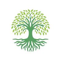 Wurzel Baum Logo. Wurzel von das Baum Logo Symbol Illustration Design, Eiche Baum Jahrgang Logo Design vektor