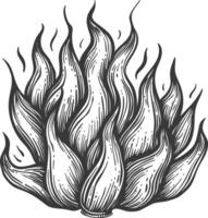 Feuer Flamme voll mit Gravur Stil schwarz Farbe nur vektor