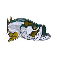 tarpon fiske illustration logotyp bild t skjorta vektor