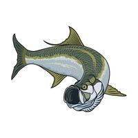 Tarpon Angeln Illustration Logo Bild t Hemd vektor